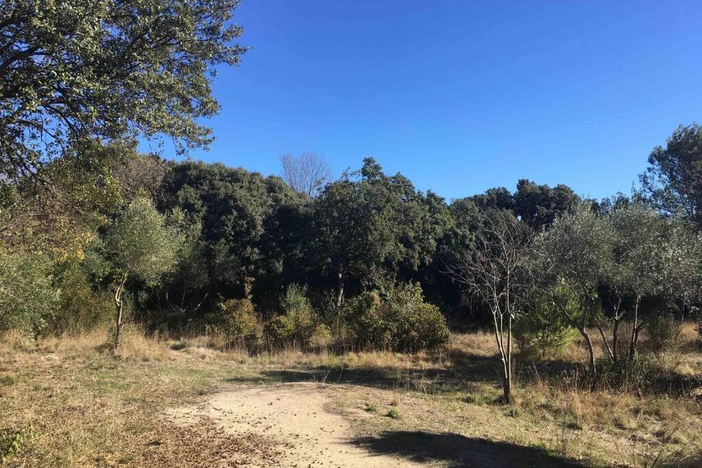 Charmant Mazet Nîmes Exterior foto